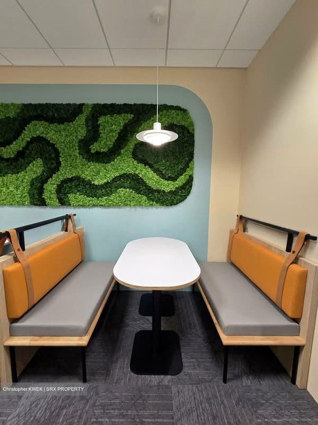 PLUS (D1), Office #577030941